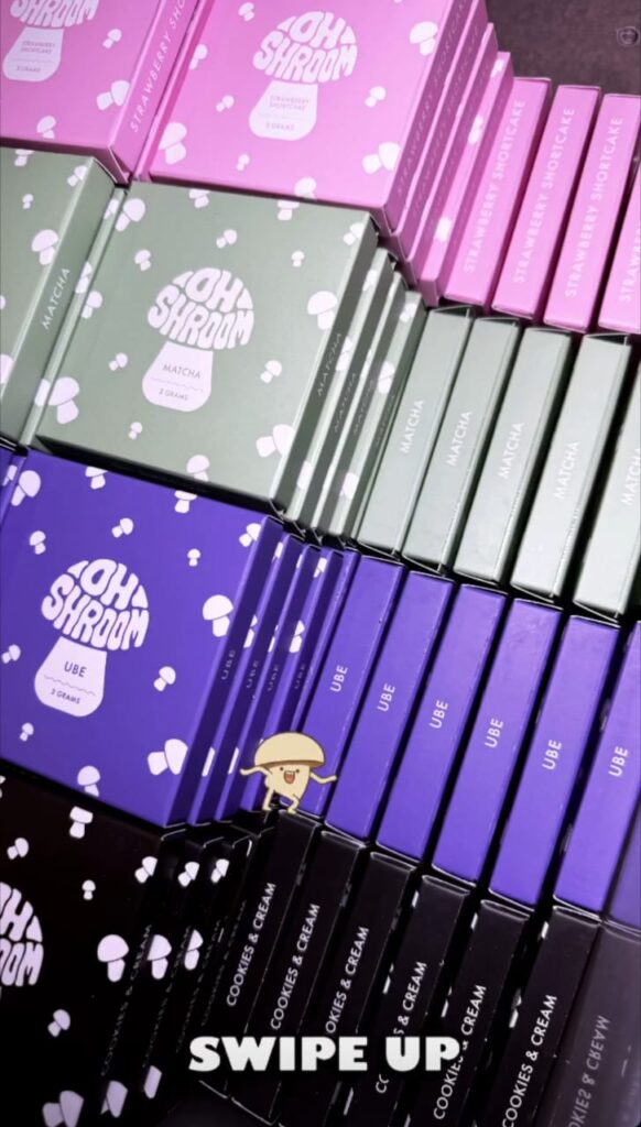 Oh Shroom Chocolates Bars
